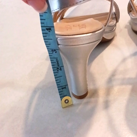 Naturaliser brenta 2 - Picture 3 of 4